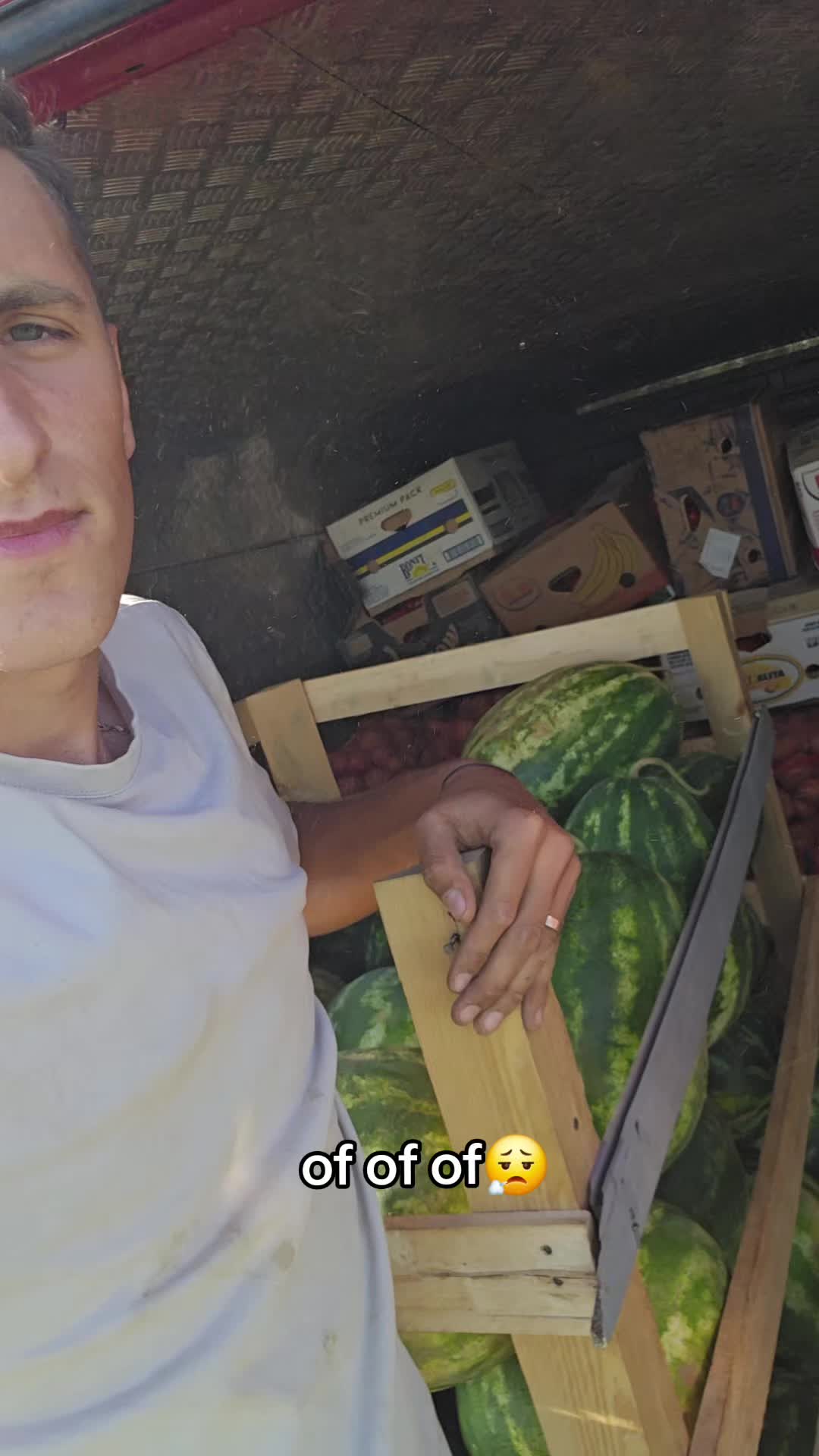@Faze Farm