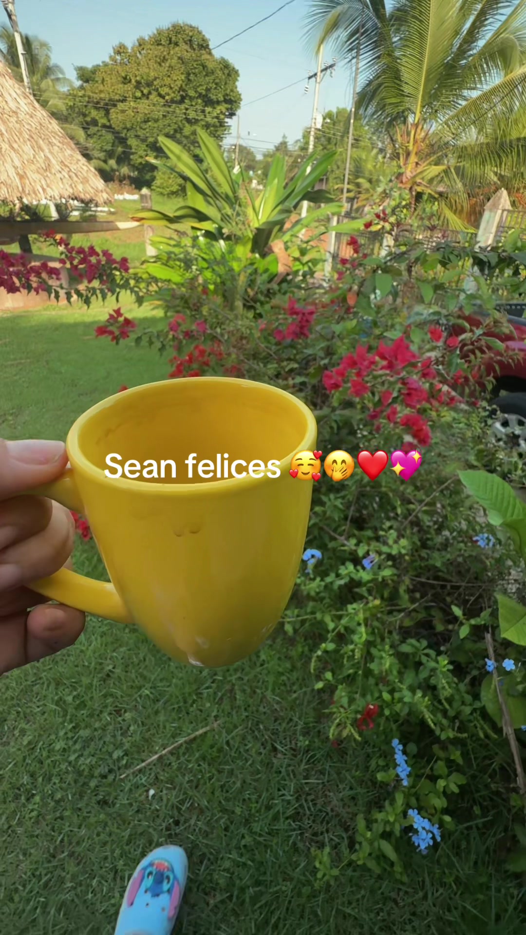 @𝑌𝑒𝑛𝑦𝑙𝑒𝑡ℎ𝑠✨