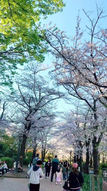 @Y__a___m___05