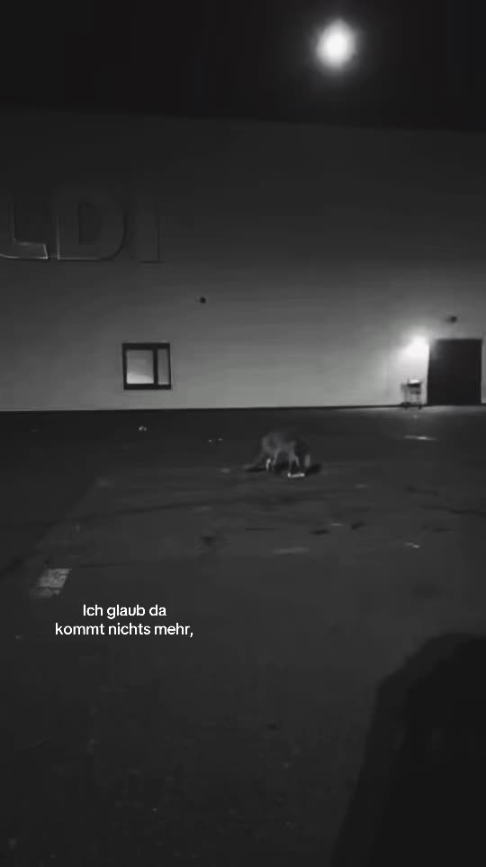 @🐉