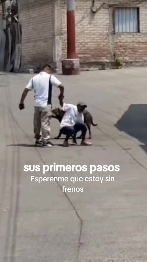 @Mauricio Andres Bravo Gonzalez