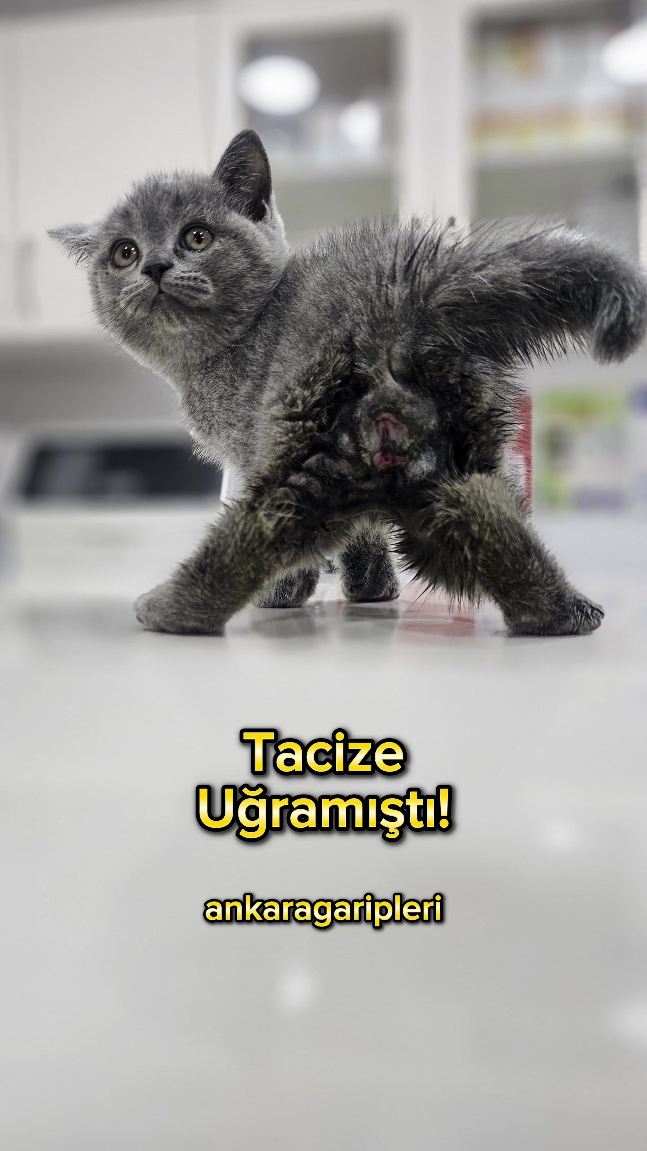 @Asiye