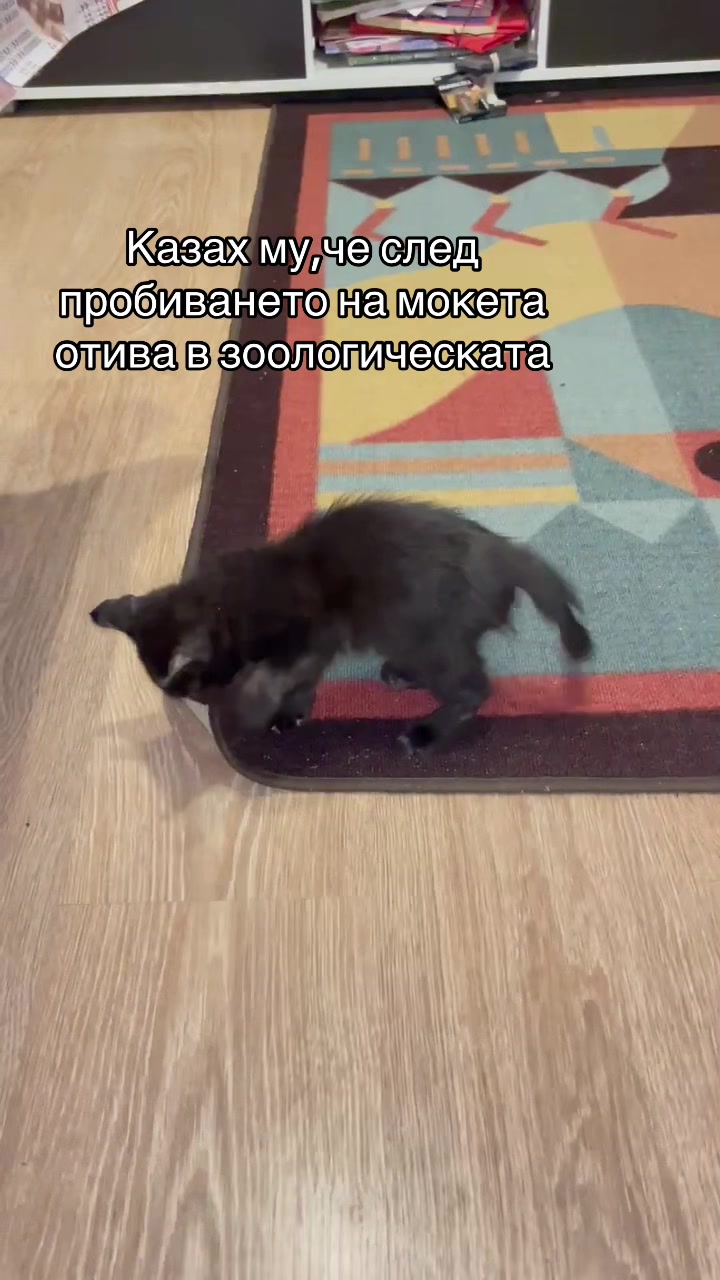 @rumsabeva