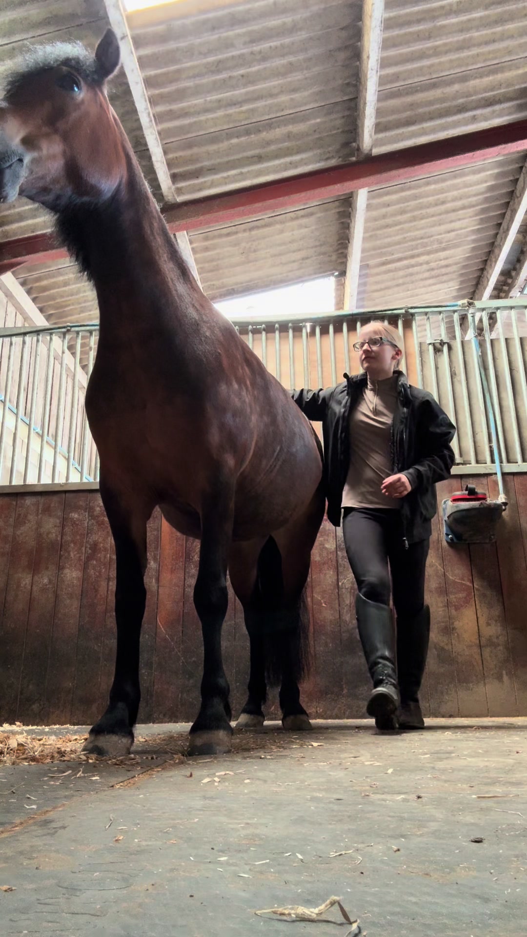 @Freya_horses