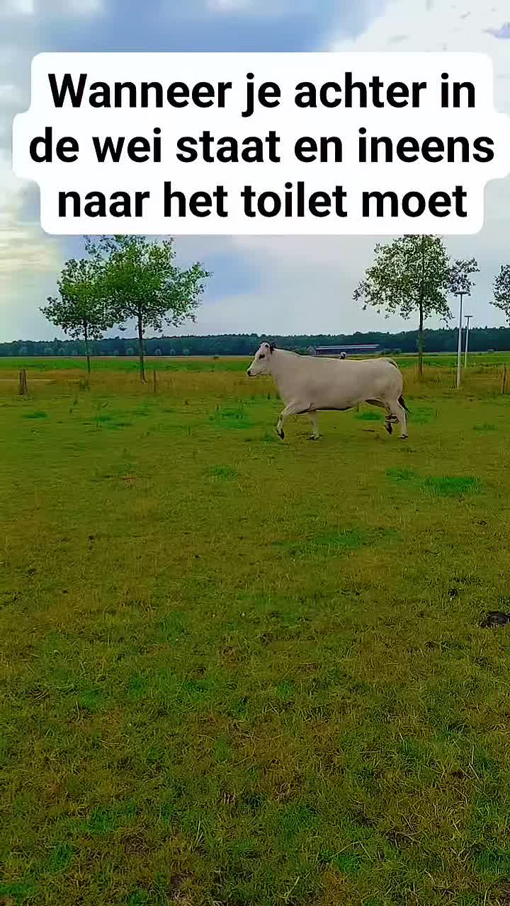 @Sjo's farmvideos