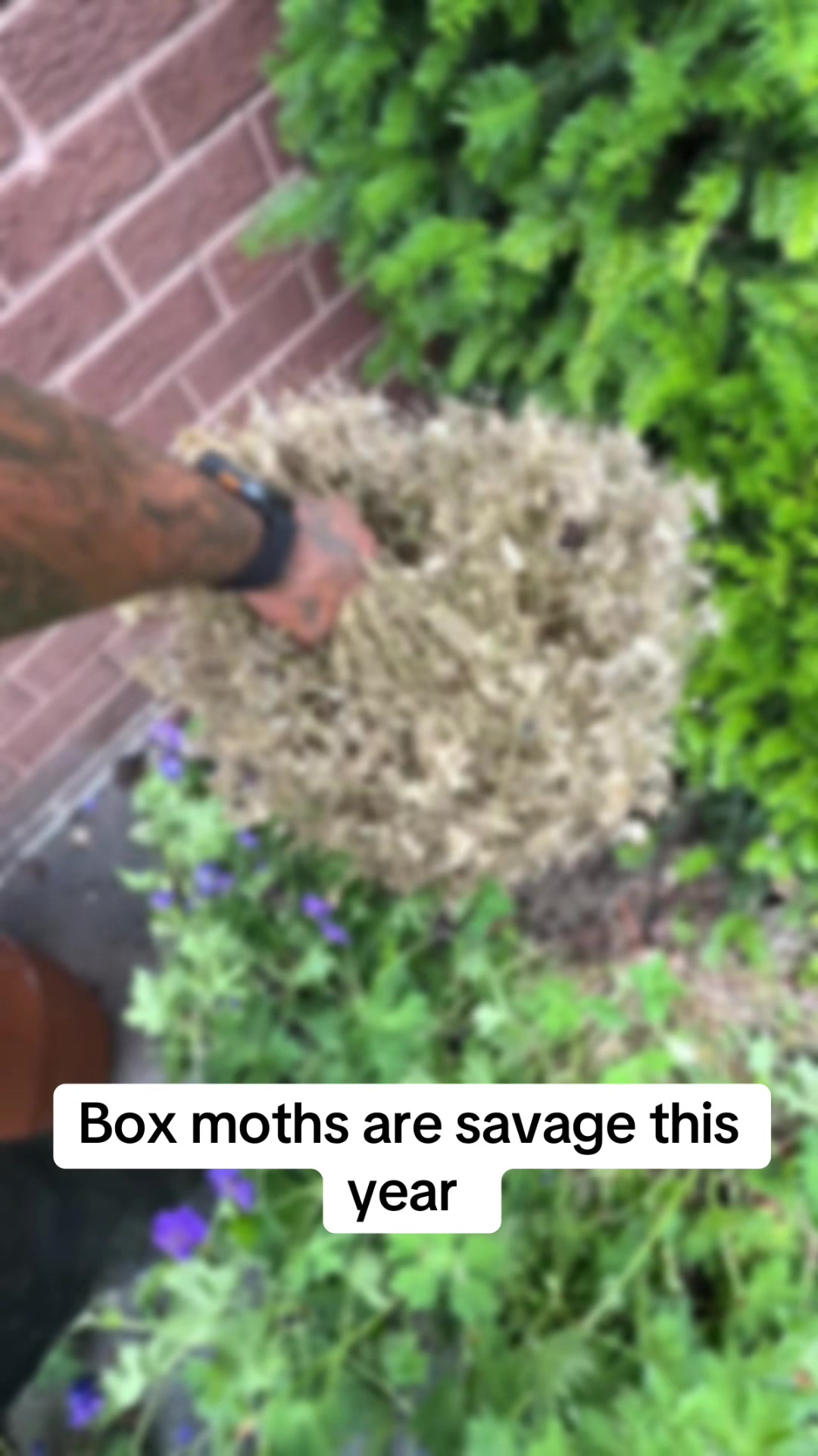 @GardenStyle