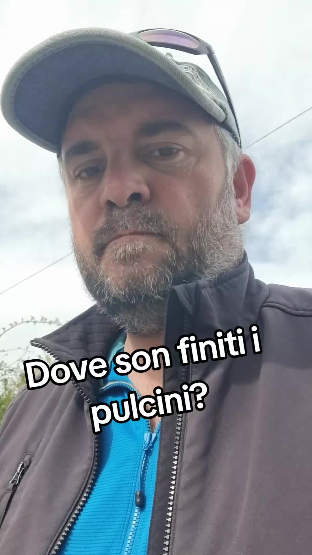@Il leone e la gallina