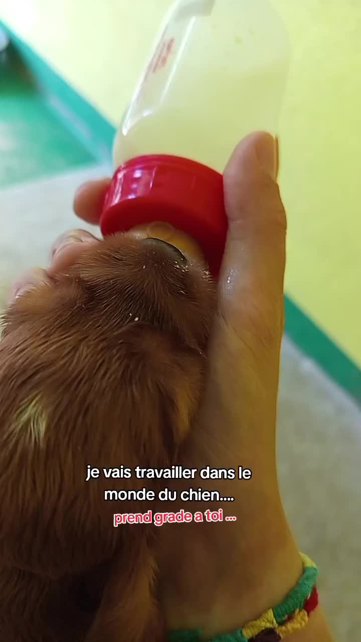@𝒰𝒮𝐸𝑅𝑅.𝒸🐚