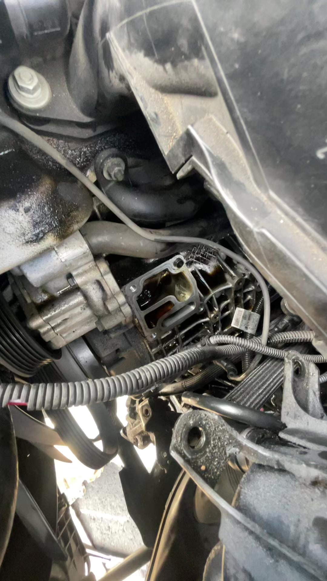 @Just mic
