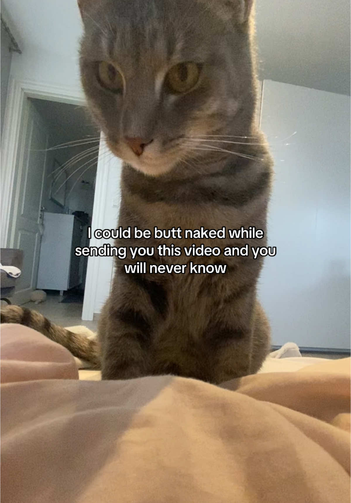 @Simba
