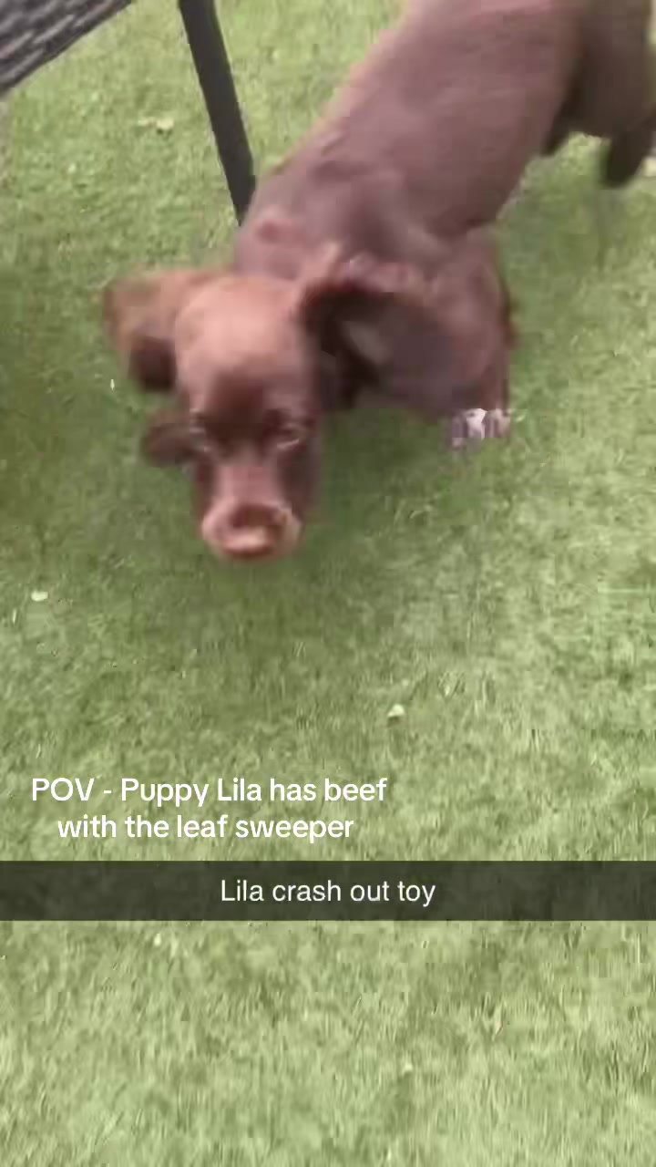 @lili
