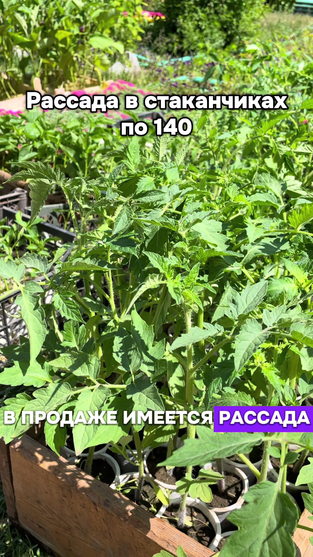@Доска Павлодар