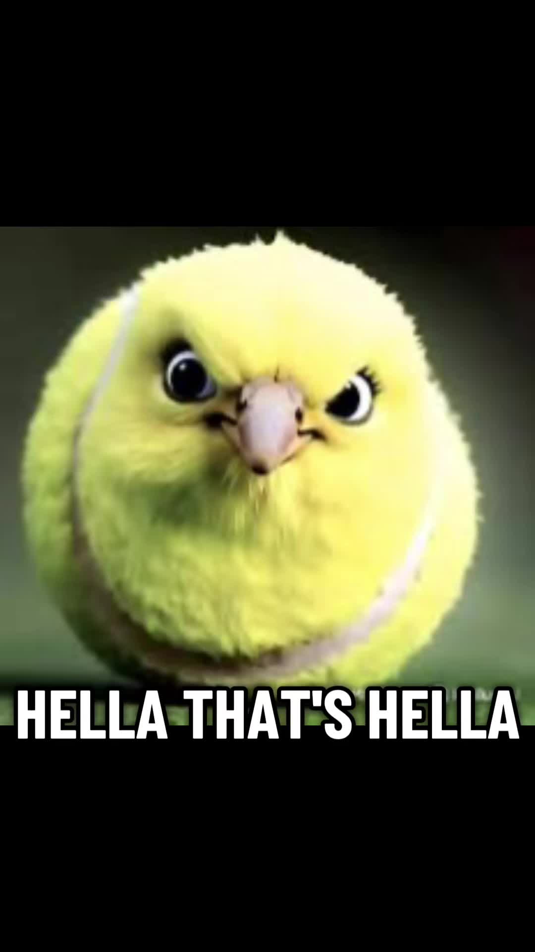 @Palestinian Texbird(with aura)