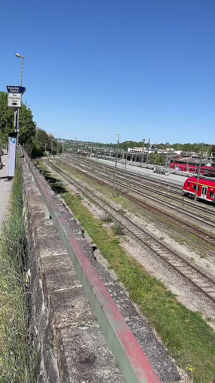 @Zaxoli