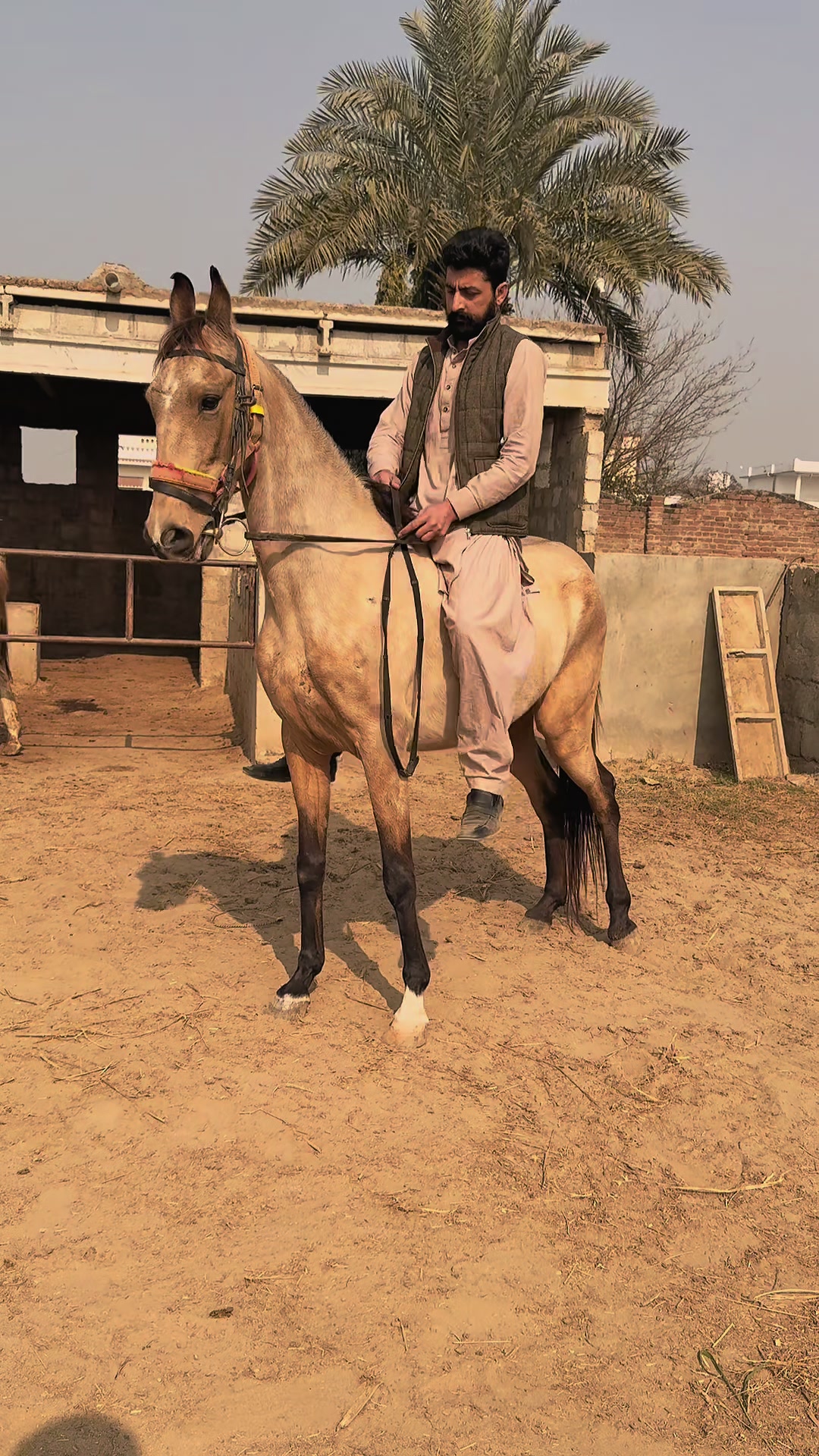 @Hayat Raza