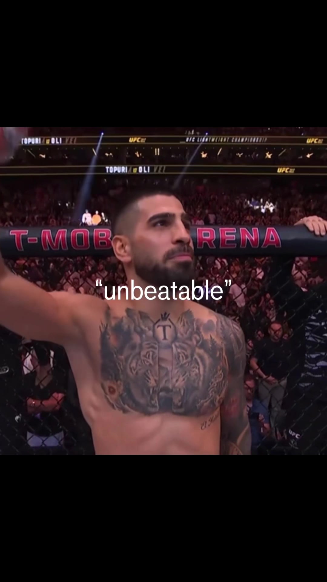 @shamilkanovski