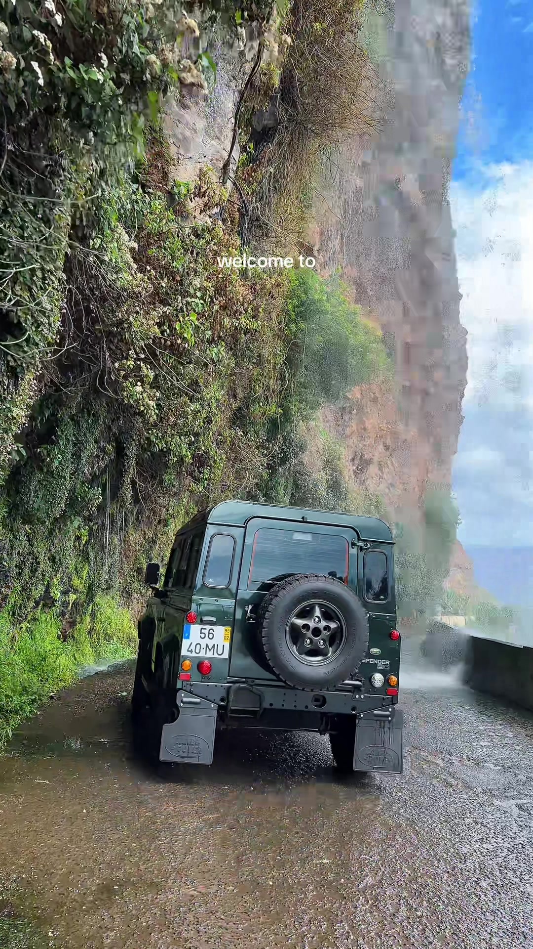 @coppiaecaneinfuga