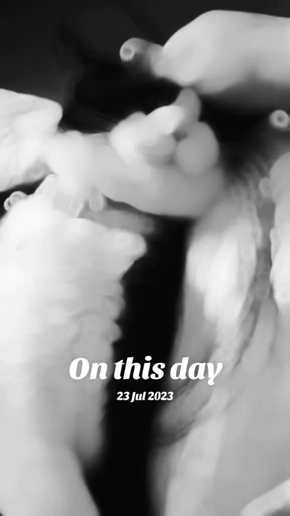 @๐ฆ April'Monique ๐ฆ