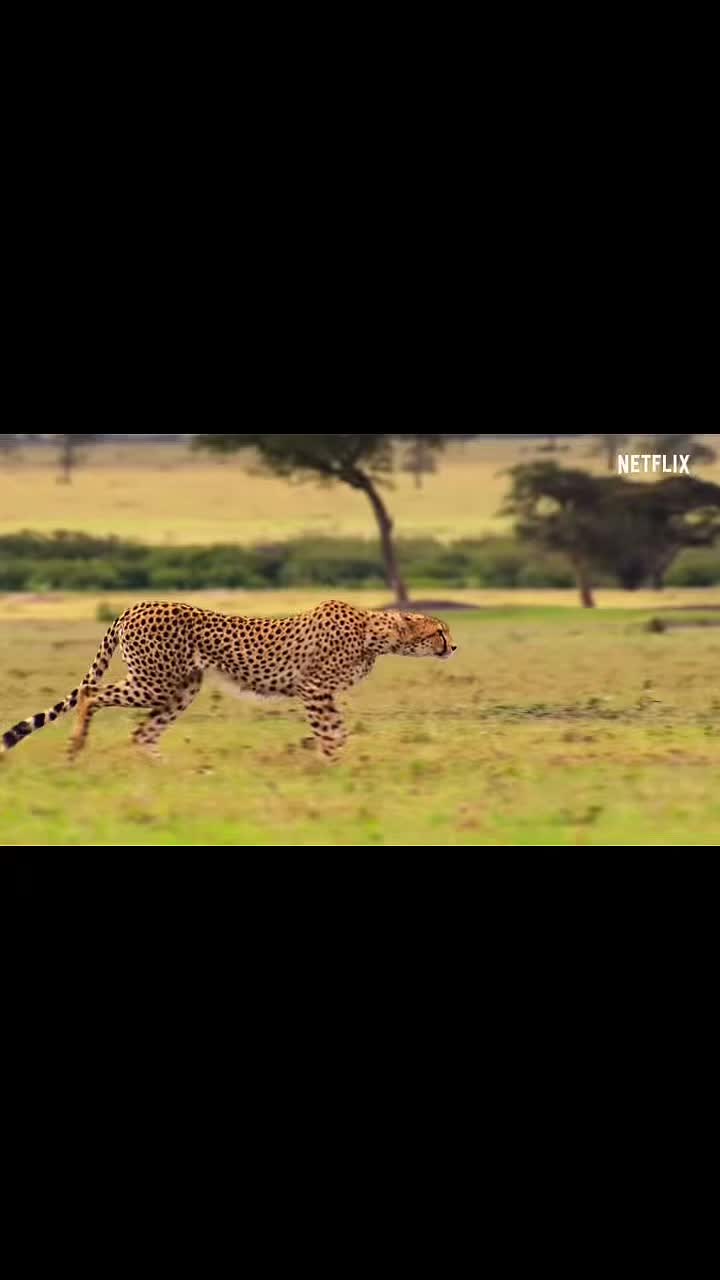 @savingtheglobe