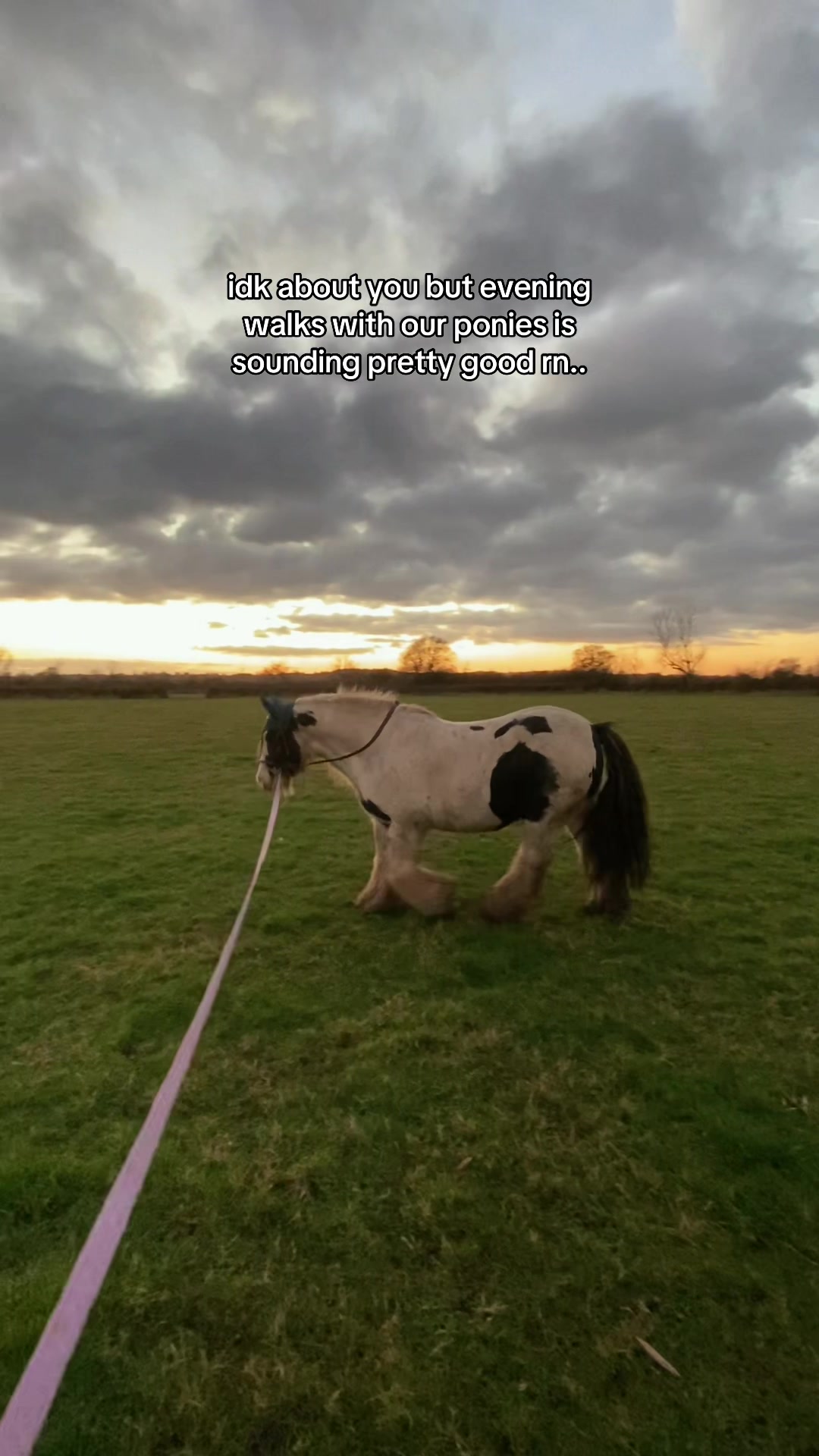 @Willow Astill🚜🌾🤠
