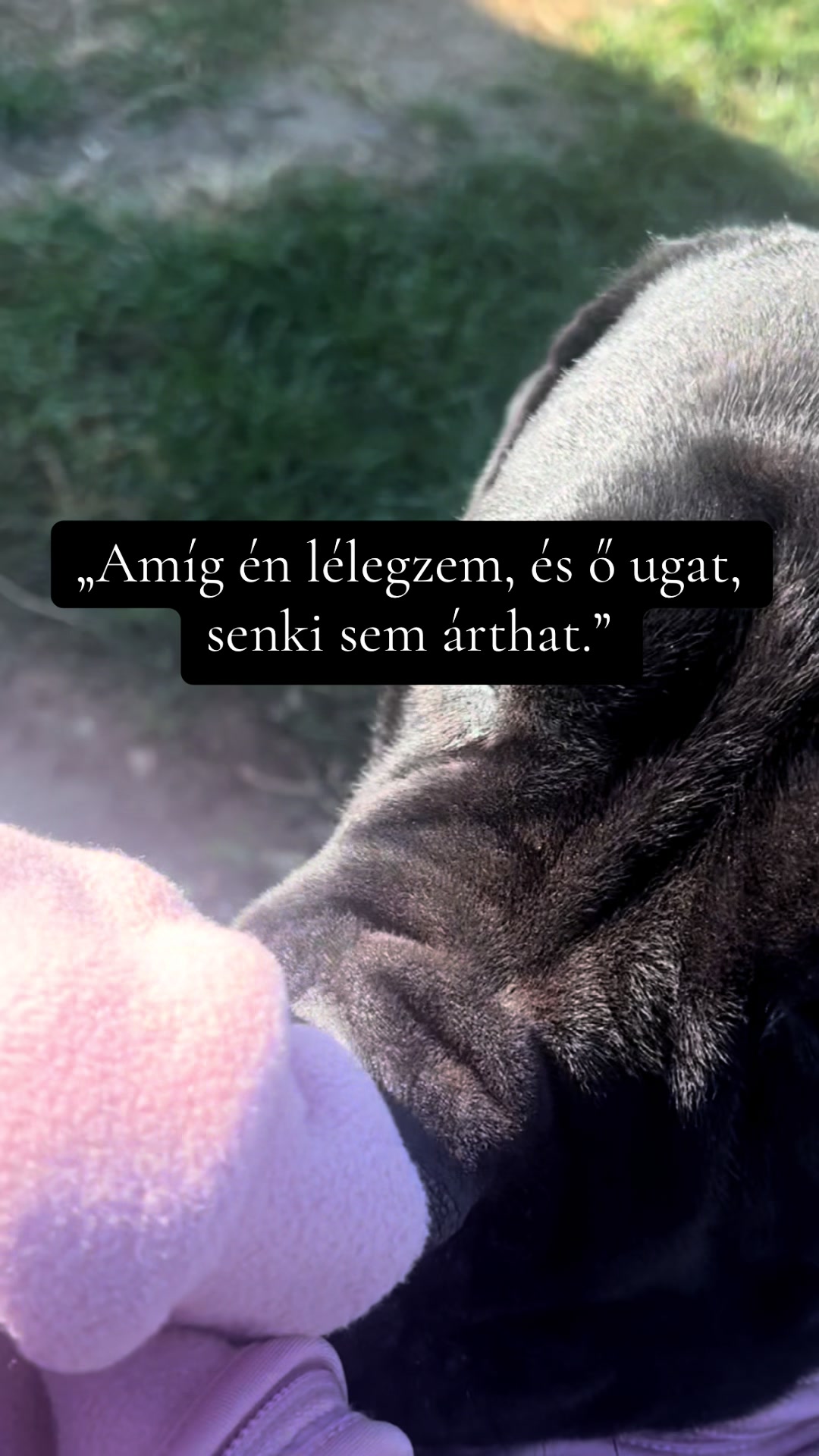 @Csak Virág 💕