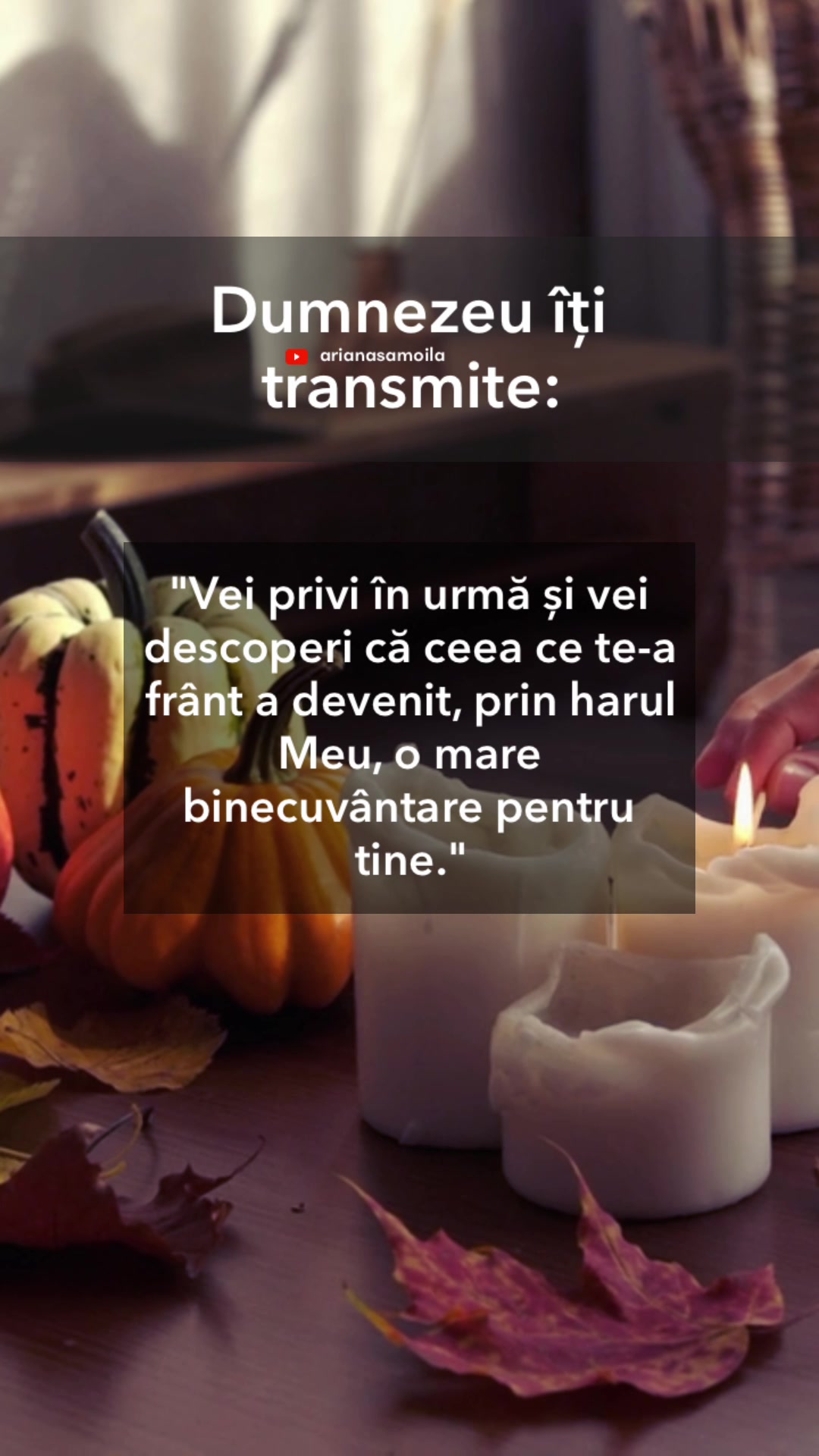 @Ariana Samoilă