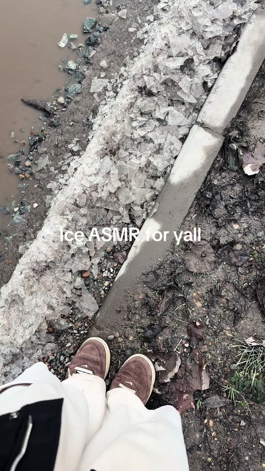 @professional__Yapper
