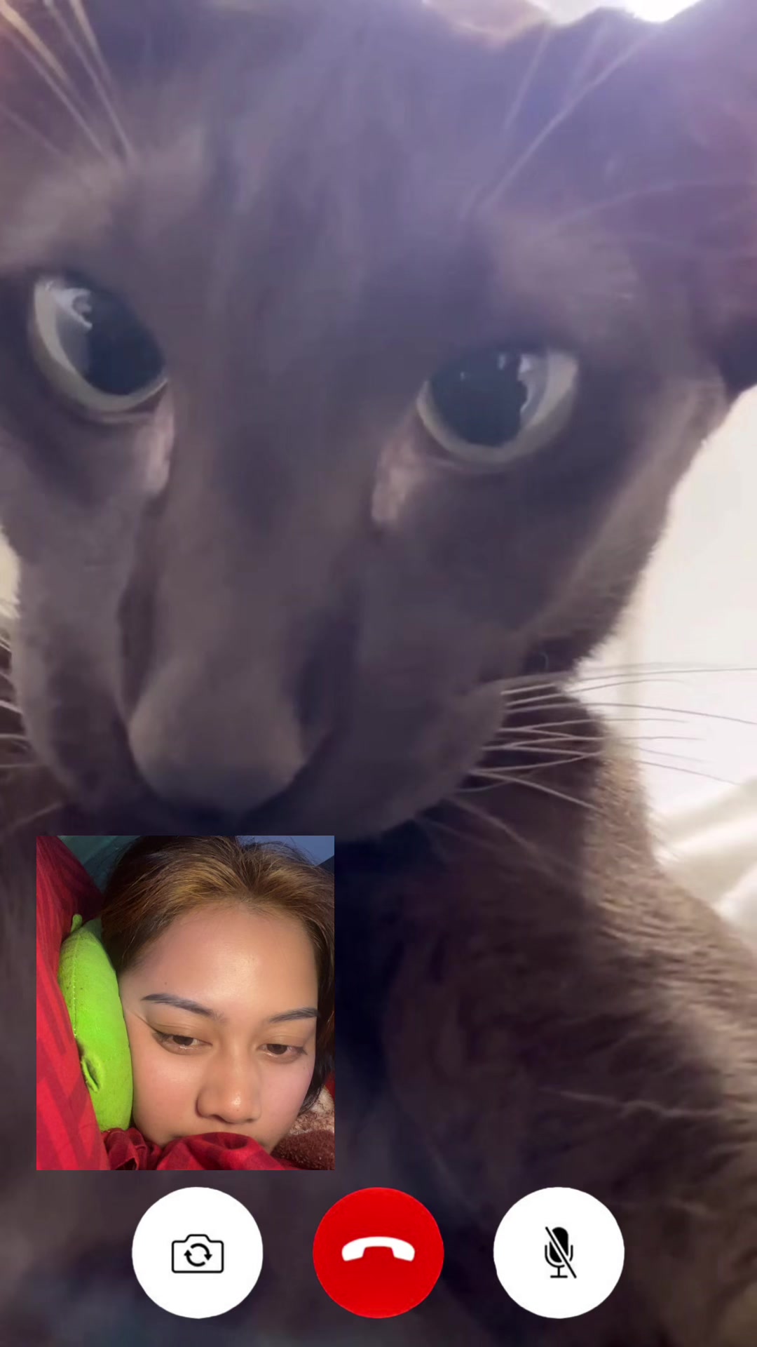 @ɴᴀᴅɪᴀ💋