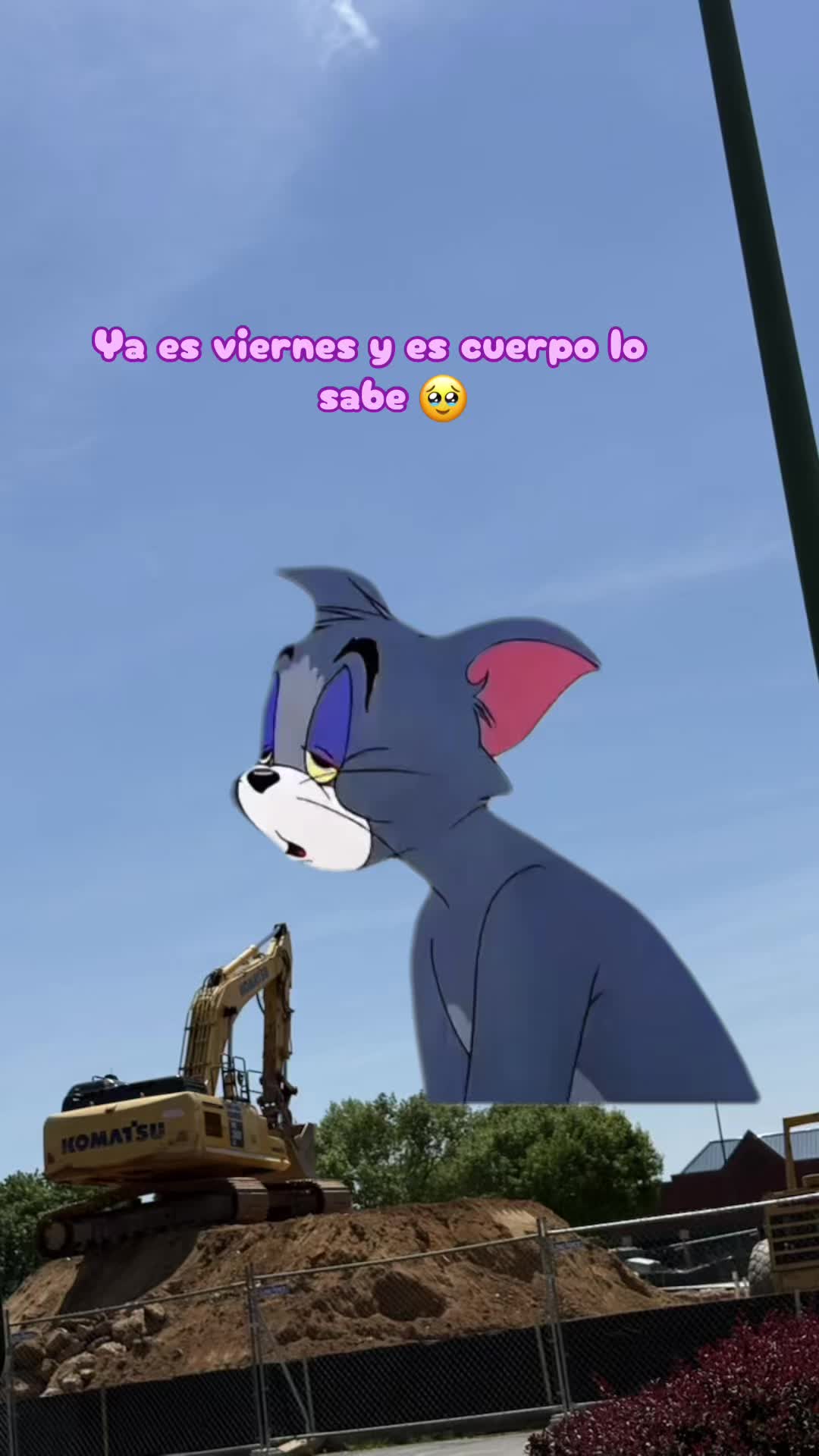 @Melany🎀