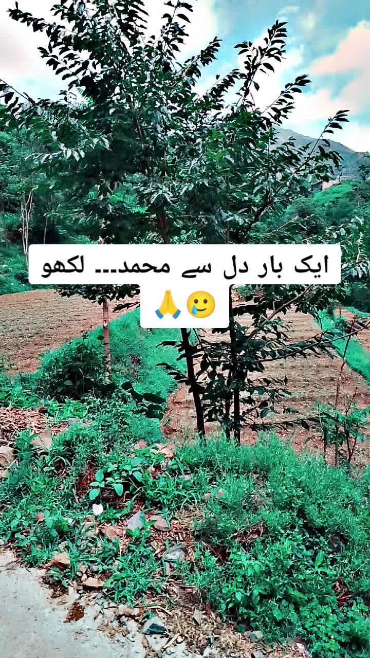 @𝗜𝗦𝗟𝗔𝗠𝗜𝗖 𝗩𝗜𝗕𝗘𝗦 ✅