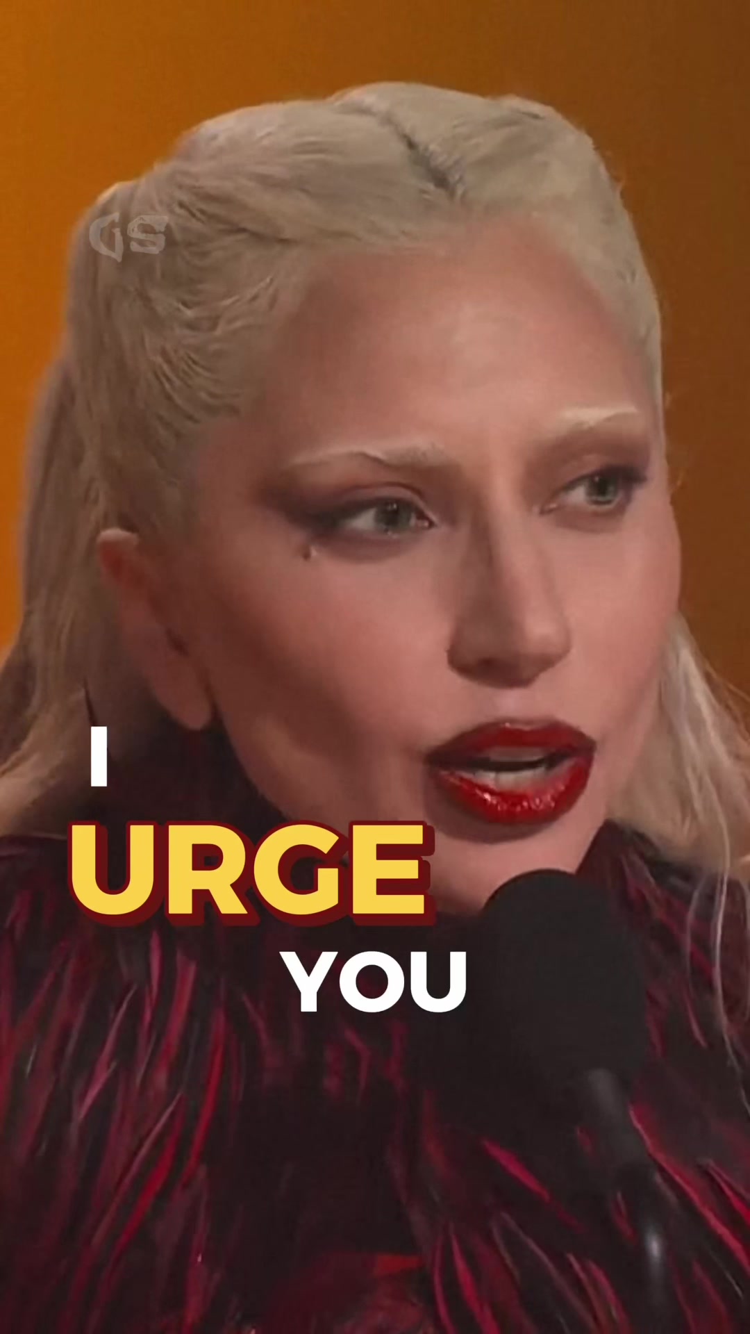 @Gaga Shorts