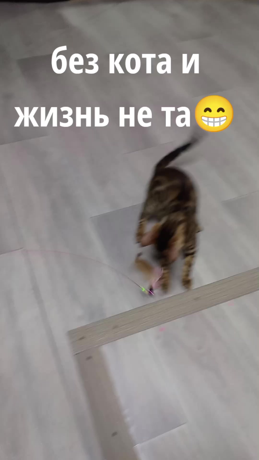@🇷🇺Аlex Born🇷🇺