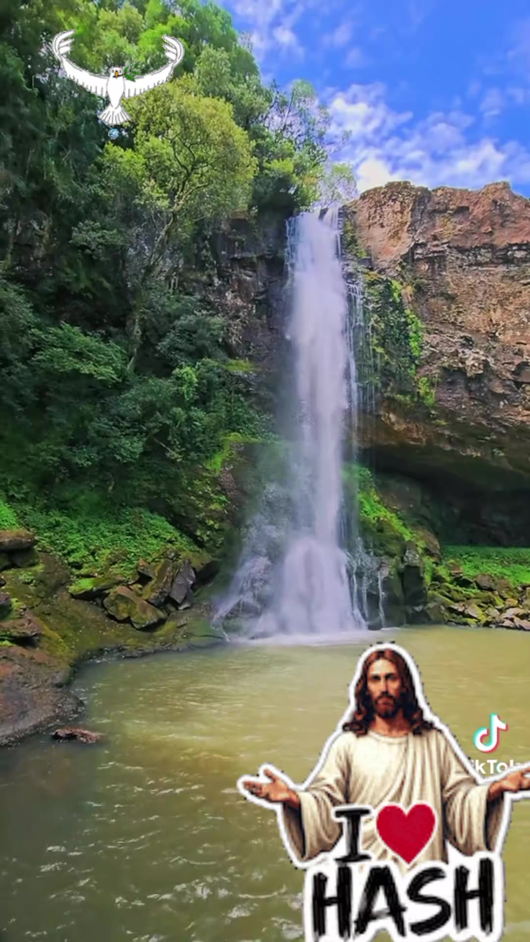 @Jos&eacute; Carlos