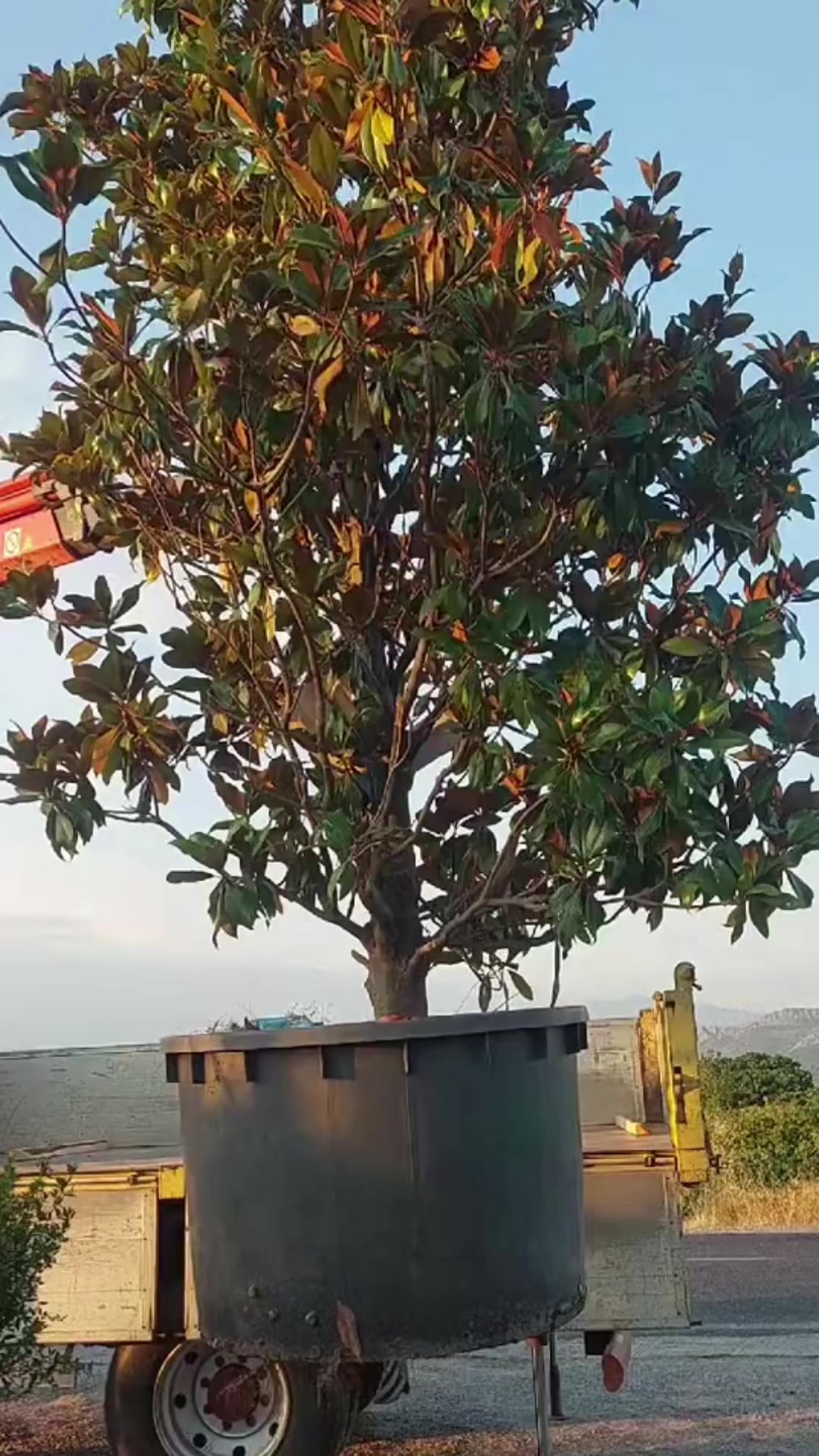 @antongjuraj
