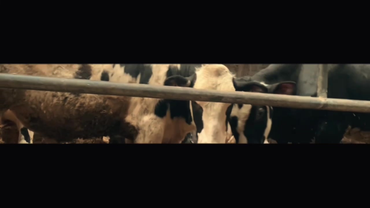 @nadiya🐮