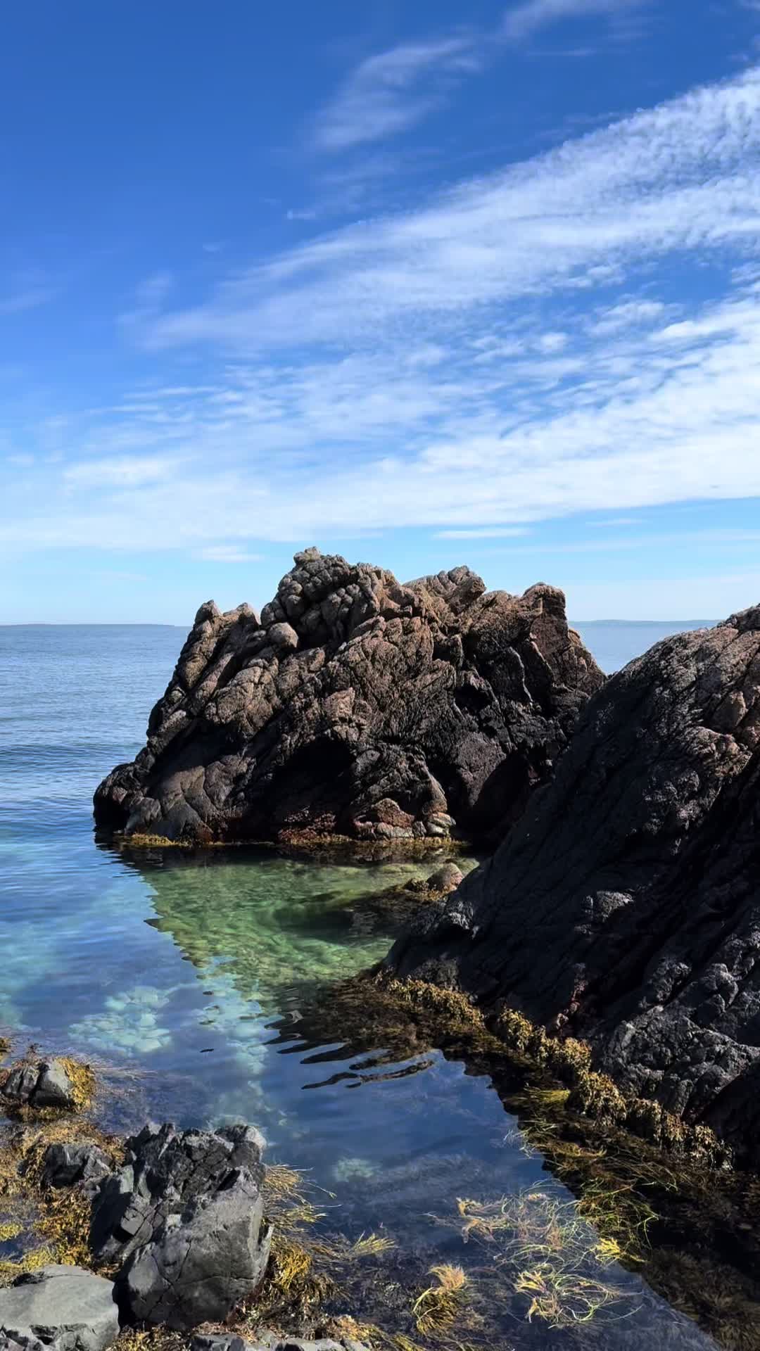 @CarinaWestcoastSweden🇸🇪