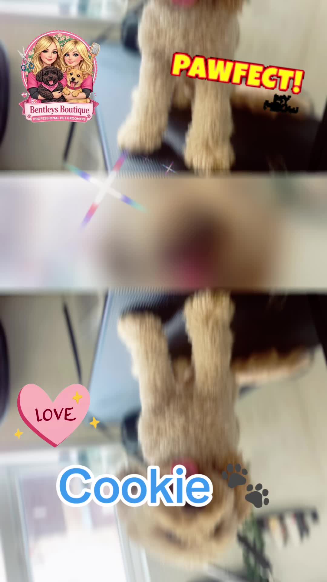 @Bentleys Boutique Pet Groomers