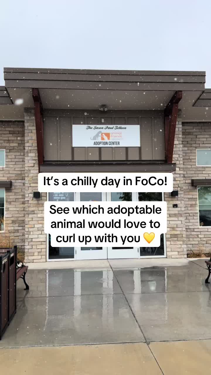 @Animal Friends Alliance