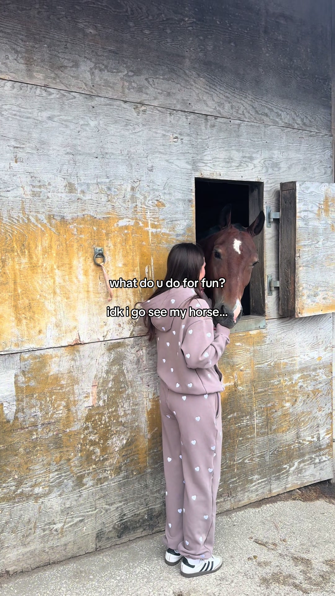 @BlackHeartEquestrian