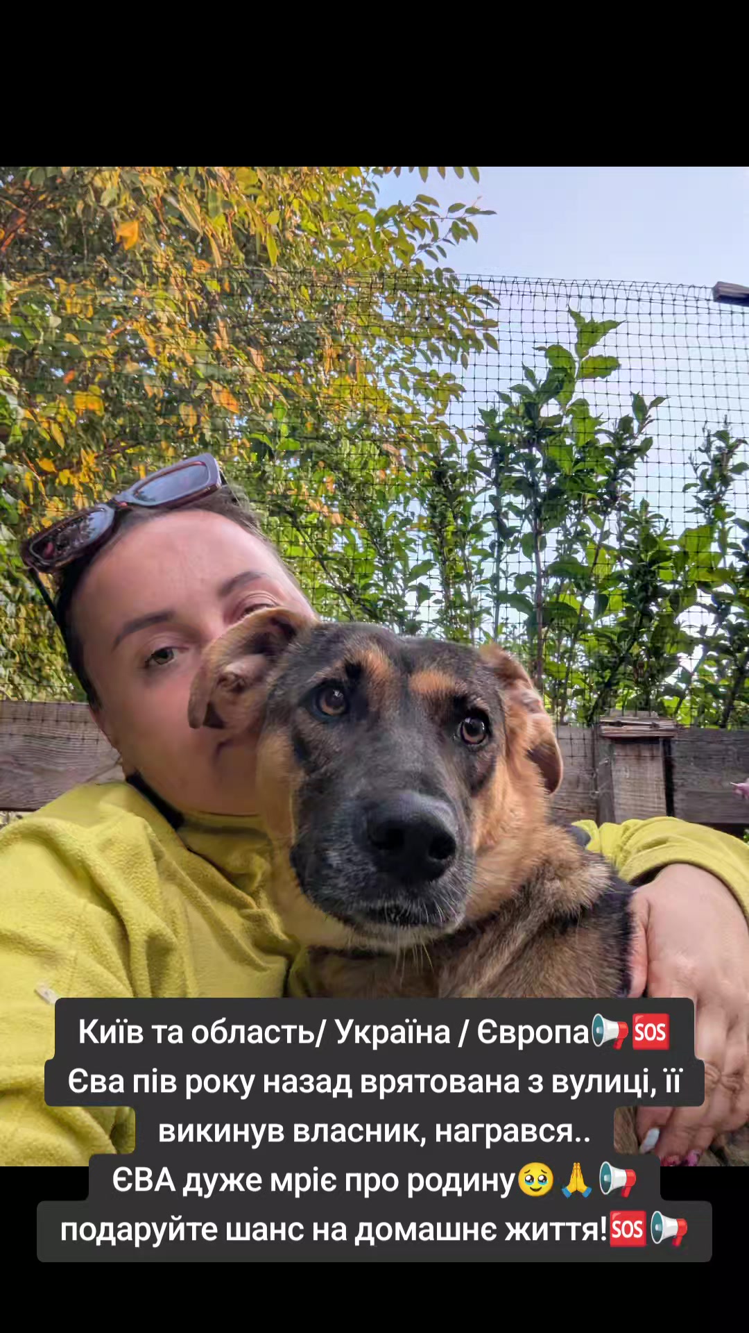 @MosakAnimalHub