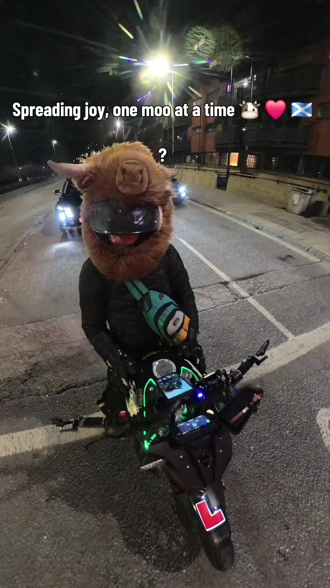 @Highland Cow Rider 🐮🏍