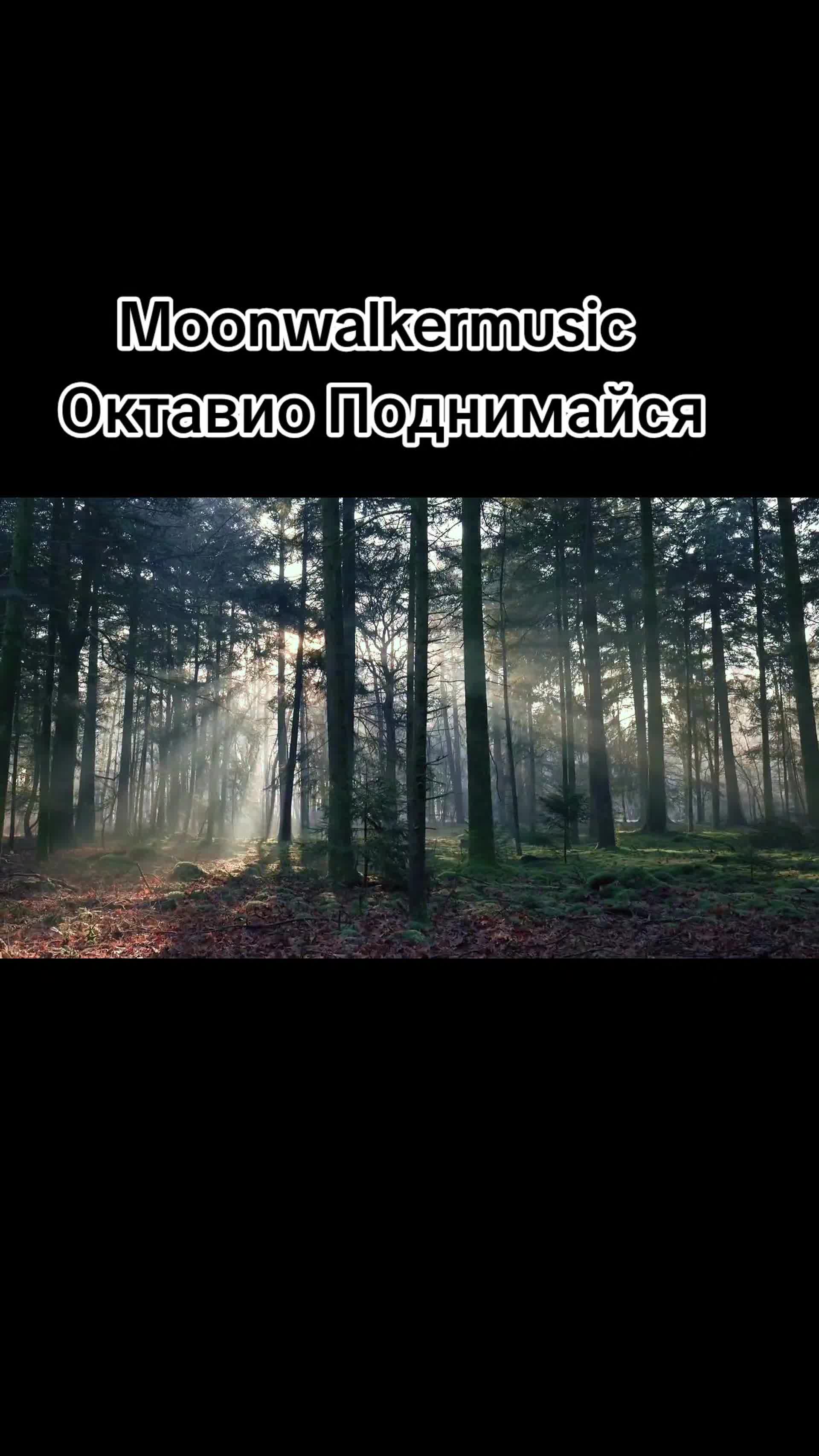 @moonwalkermusic