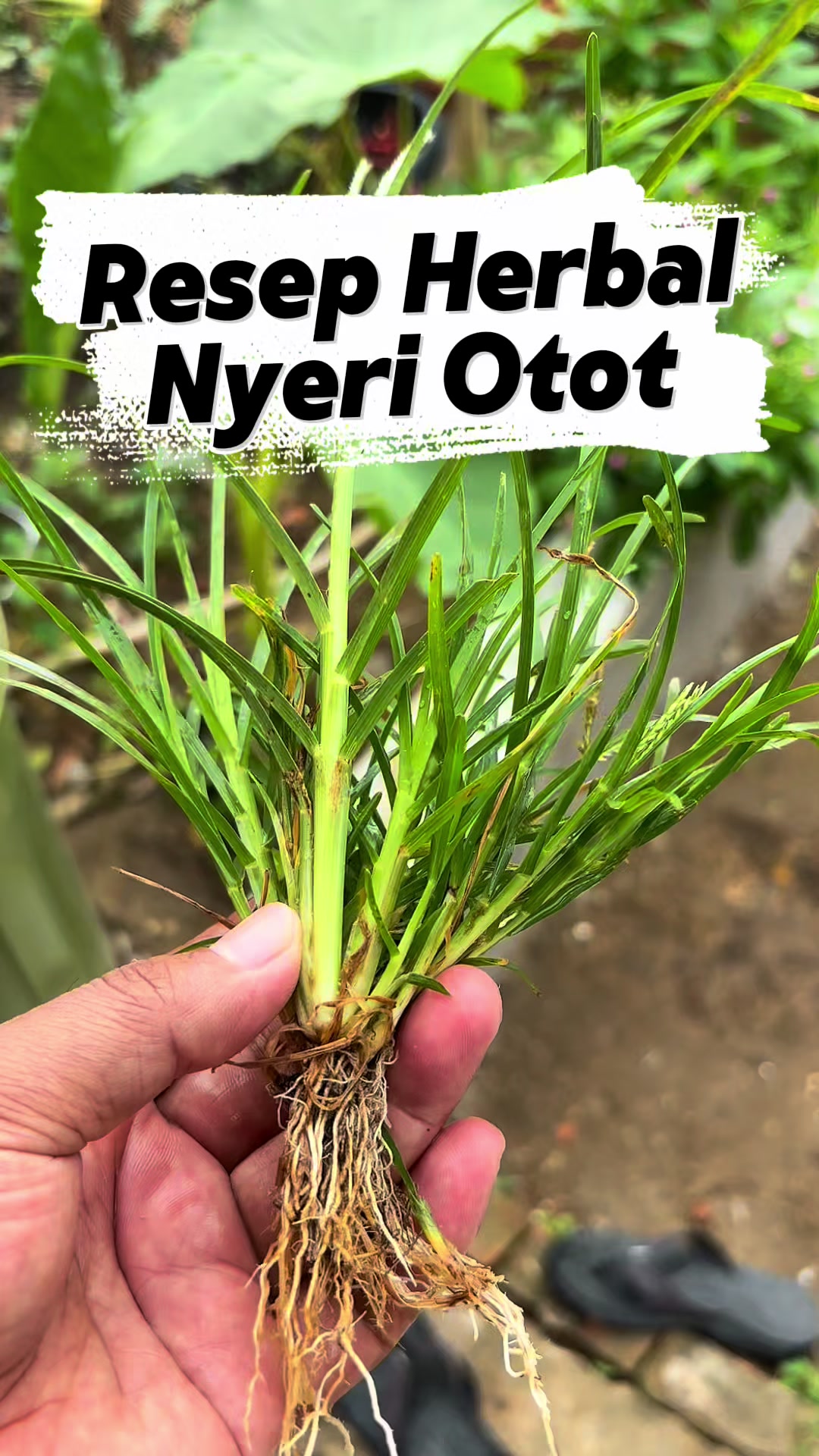 @de erstungkoro