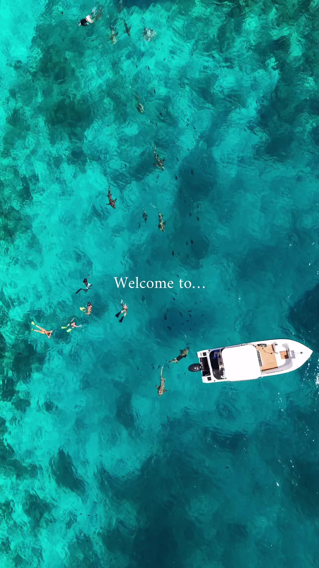 @BackpackingBAUER ✈️☀️🏝️🐋