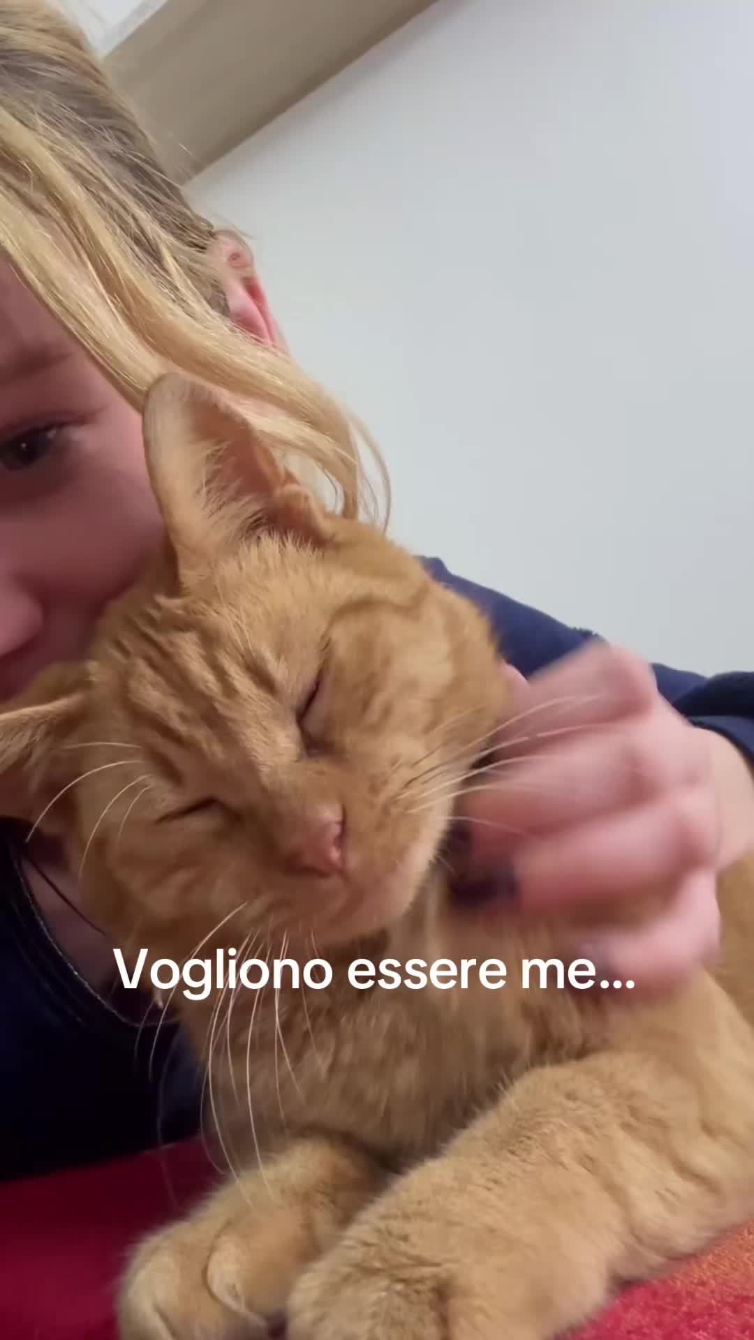 @Emilia Rutyna