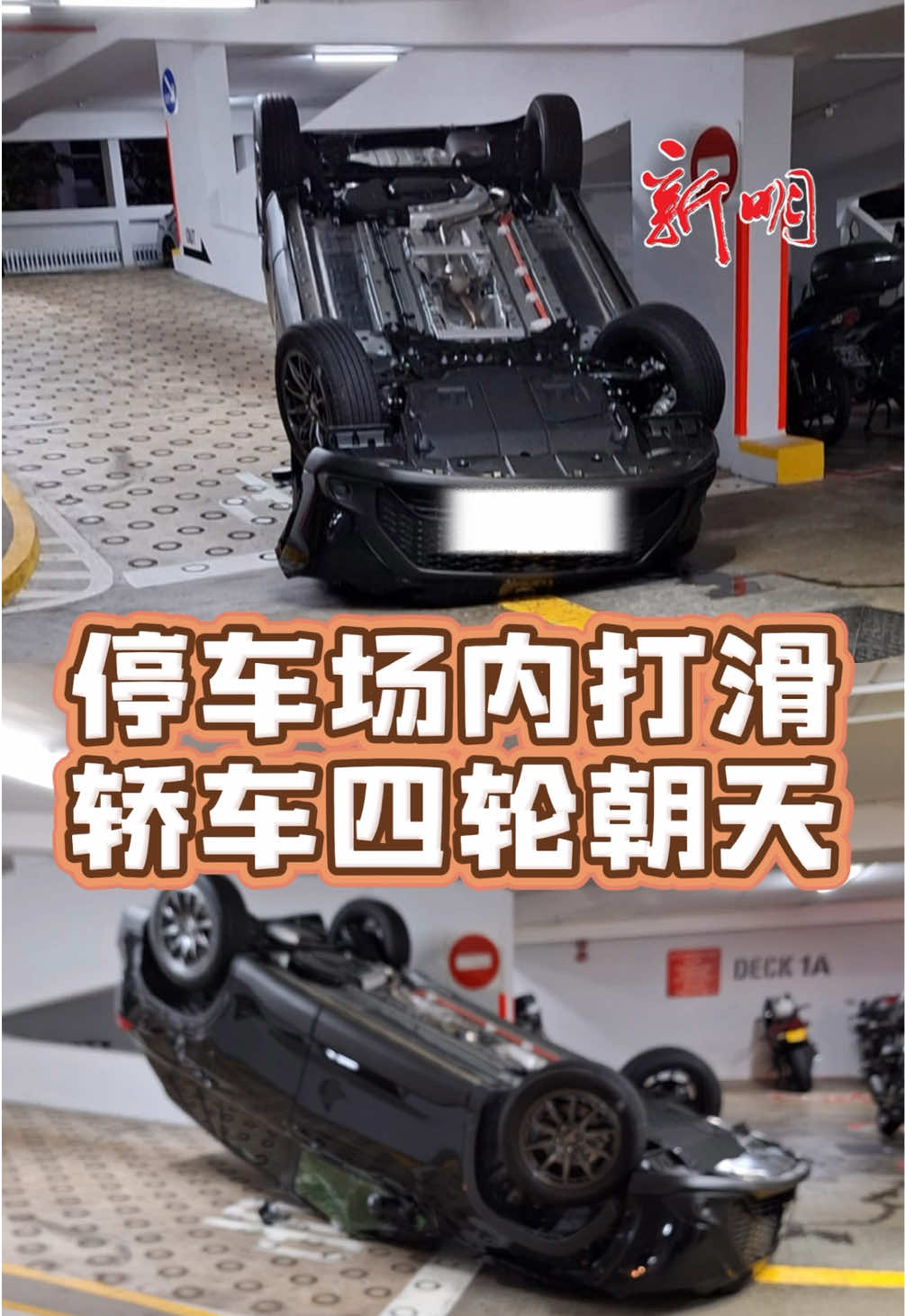 @新明日报