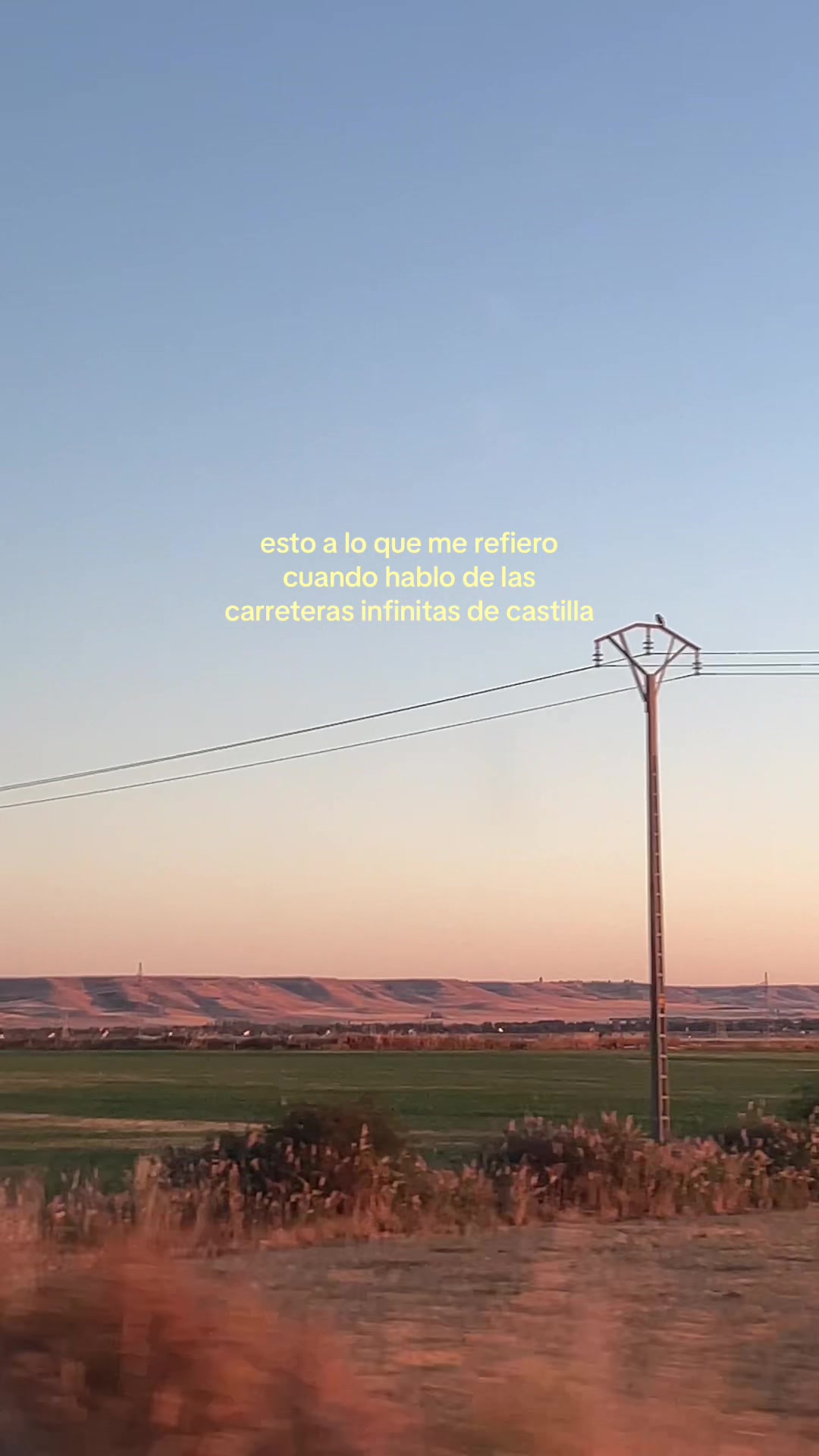 @alejandro