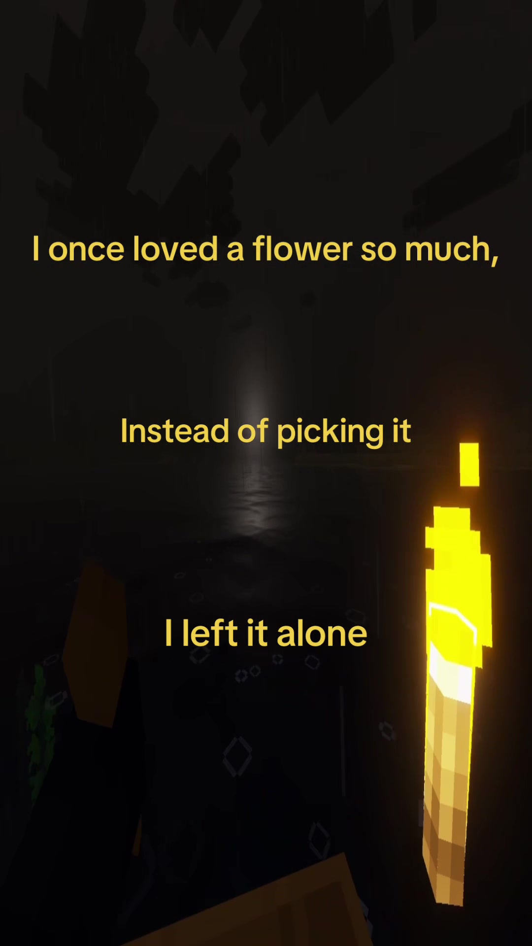 @TheEnderMan