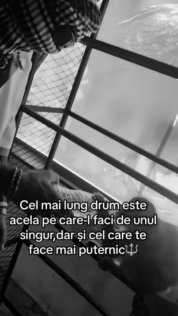 @Lazăr666