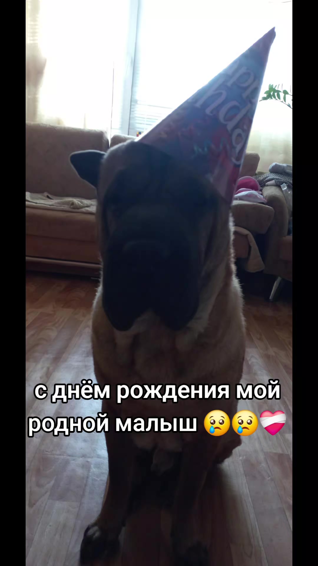 @Виталия (Віталія)❤️